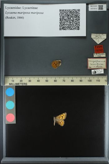 Media type: image;   Entomology 16012